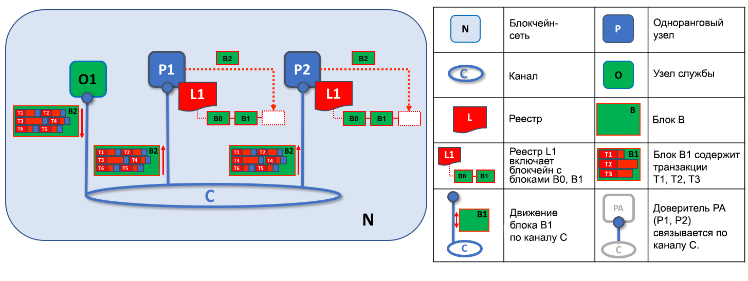 Peer12