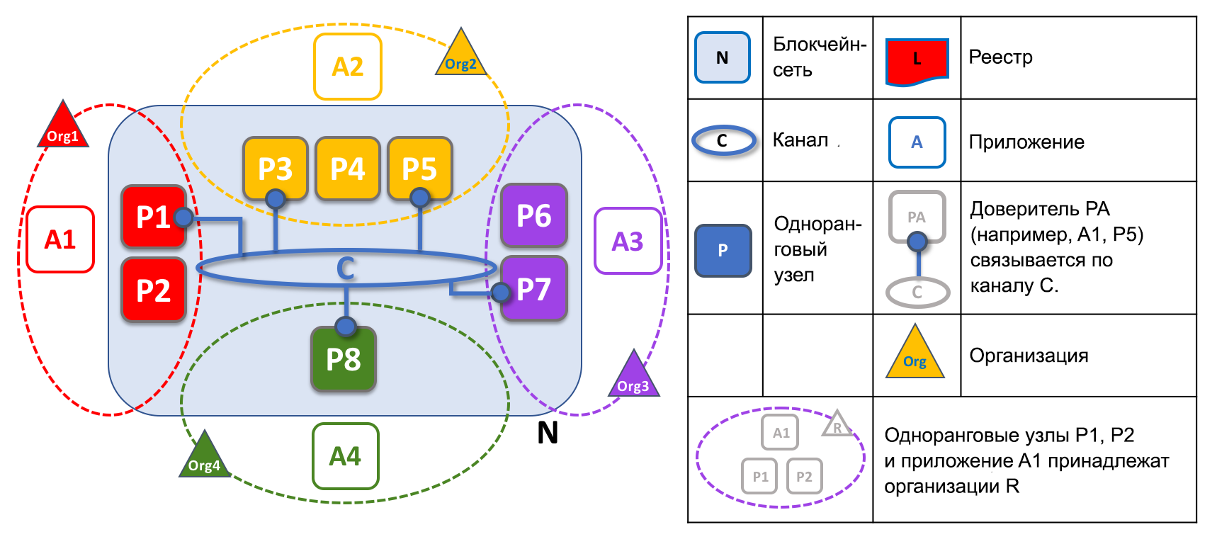 Peer8